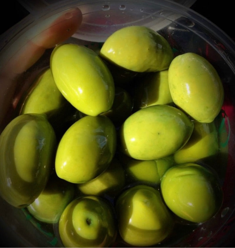 Giant Olives Bella di Cerignola 1,55 Kg Apulia Italy