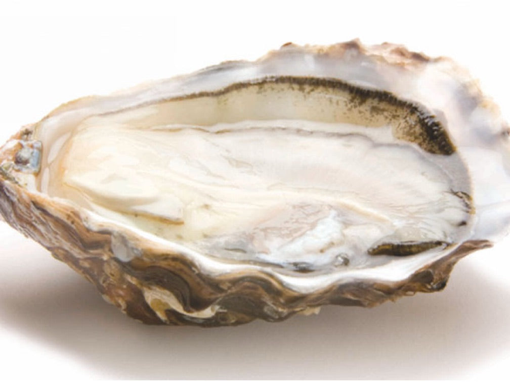 Shucked Live Fresh Oyster Fine De Claire (Ready to Eat)