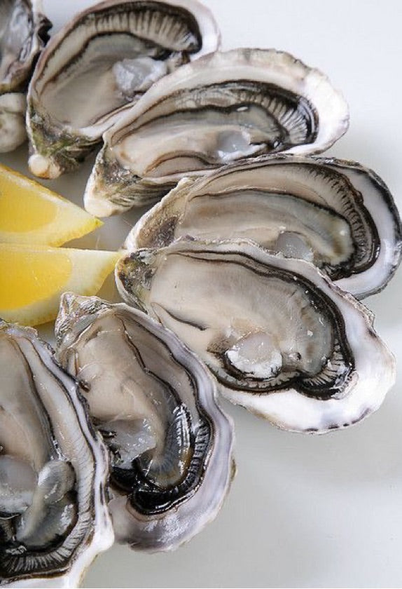 Shucked Live Fresh Oyster Gillardeau (Ready to Eat)