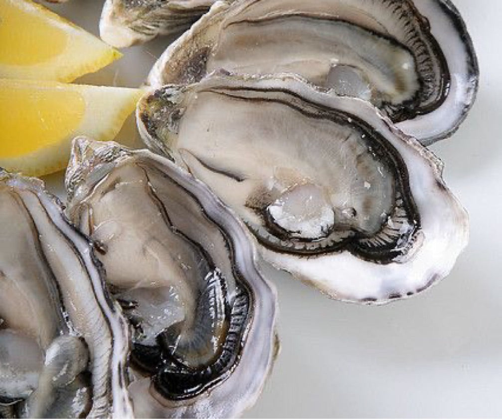 Shucked Live Fresh Oyster Gillardeau (Ready to Eat)