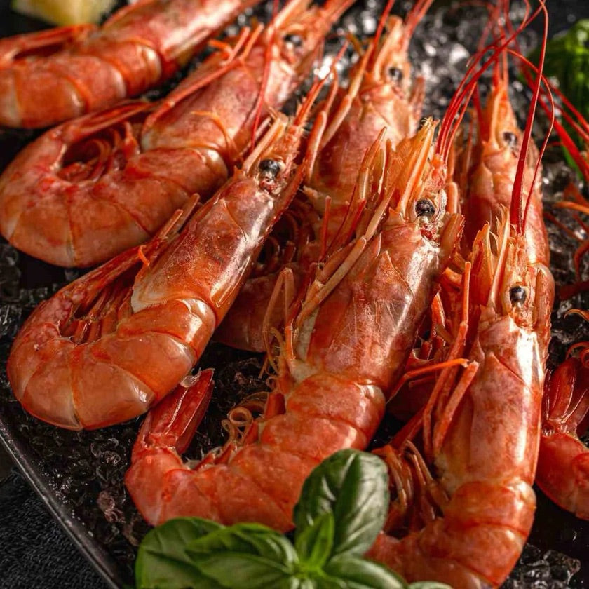 Argentina Red Shrimp HOSO L1 10-20pc 2kg (Frozen)