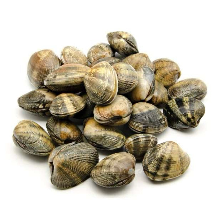 -50% OFF Live Clams 1 Kg
