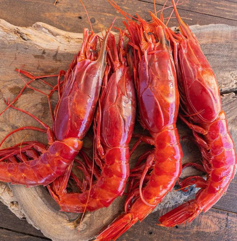 XL Spanish Carabineros Brilliante Red Prawns XL 400g (Frozen 5-6 pcs per box)