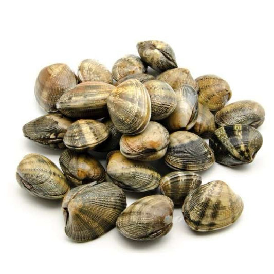 -50% OFF Live Clams 1 Kg